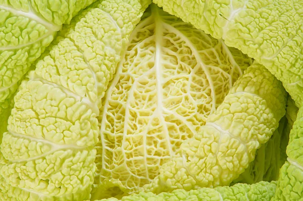 stock image Cabbage as background of bends