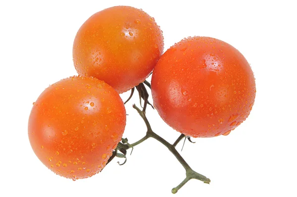 Three Five Red Tomatoes — Stock Photo, Image