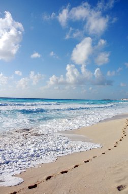 The beach by the Carribean sea in Cancun clipart