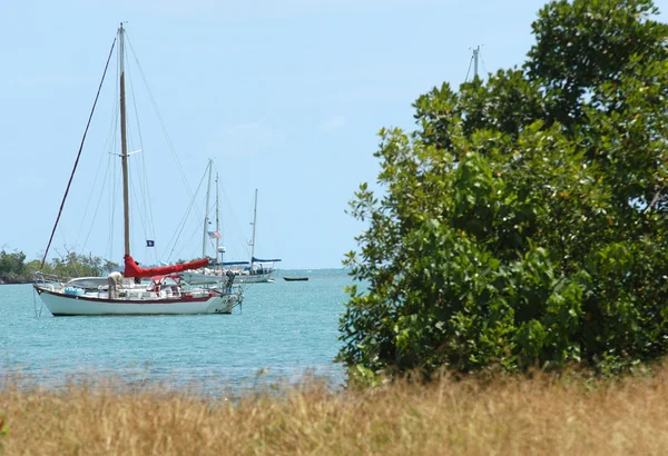 Yachts sur la mer des Caraïbes — Photo