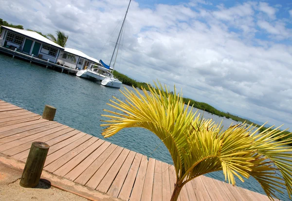 Yacht sul mare caraibico — Foto Stock
