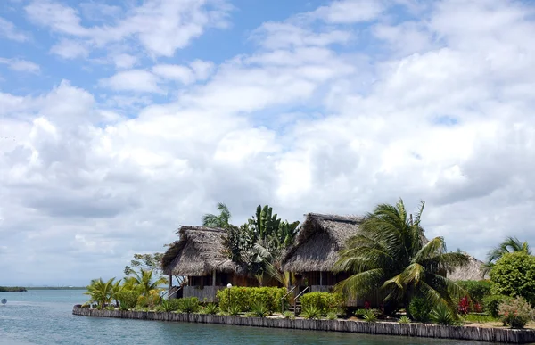 Twee hutten gemaakt van palmen in belize — Stockfoto