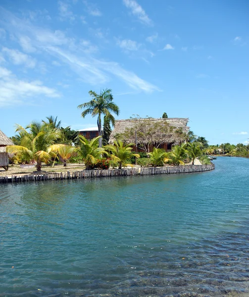 Palms Belize yapılmış kulübe — Stok fotoğraf