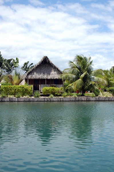 Deux cabanes faites de palmiers au Belize — Photo