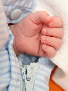 Hand of two month old baby clipart