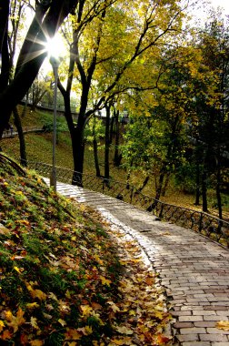 Autumn Kiev Park clipart