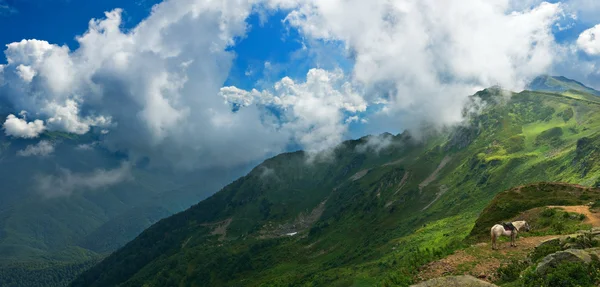 stock image Caucasus mountains