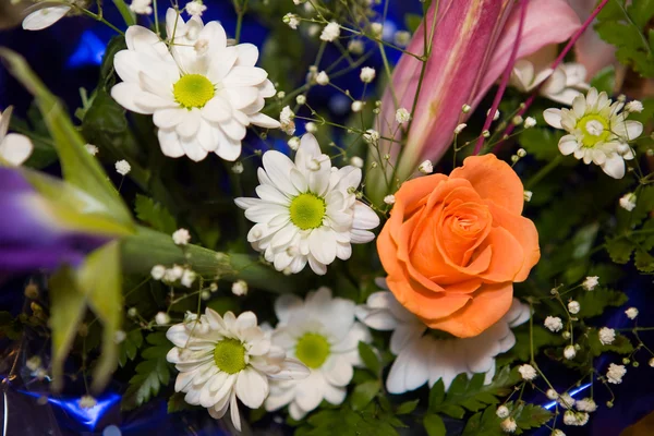 stock image Bouquet from camomiles and roses