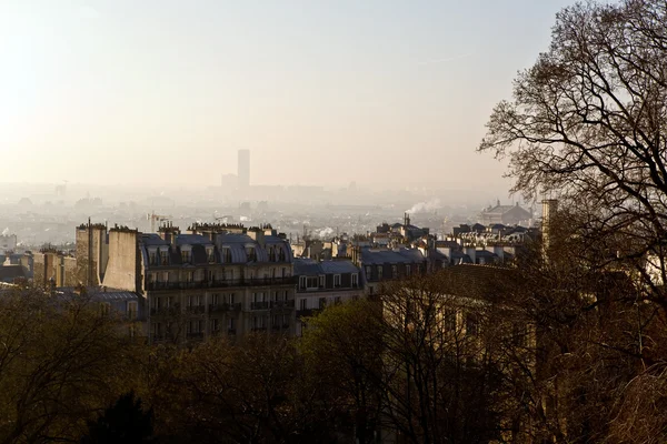 Морозное утро в Париже — стоковое фото