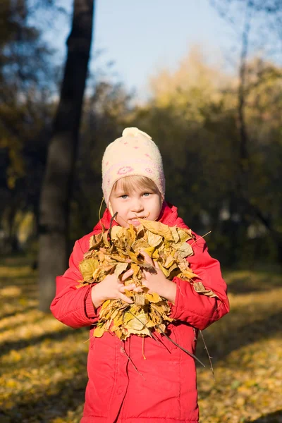 Shromažďování podzimní listí — Stock fotografie