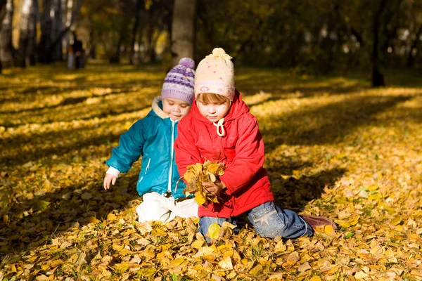 Recolección de hojas de otoño 2 — Foto de Stock