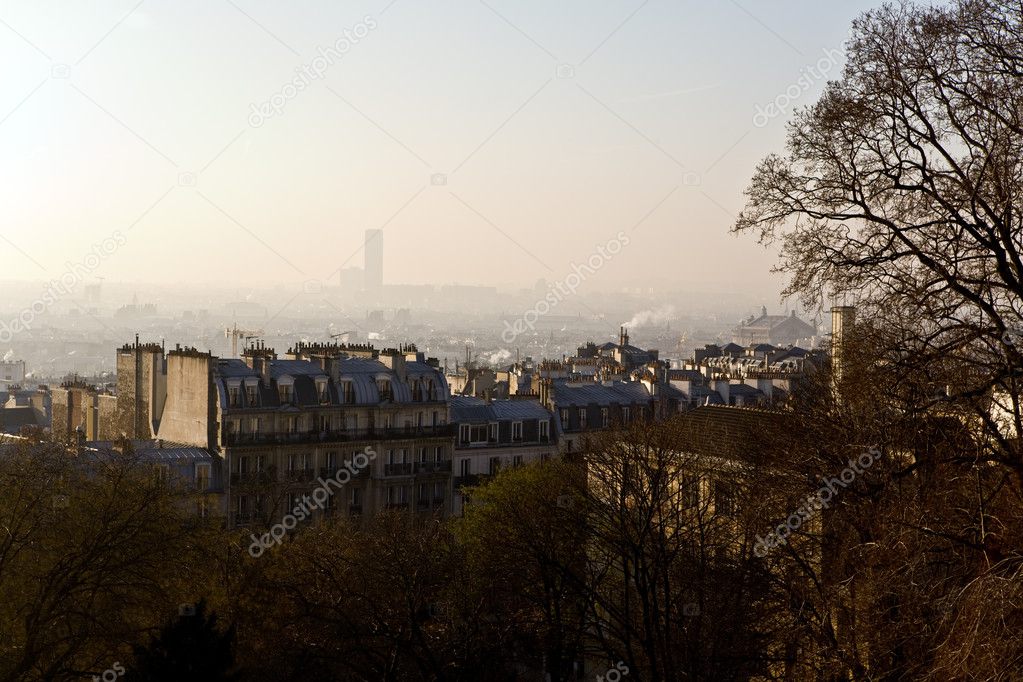 Frosty morning in Paris