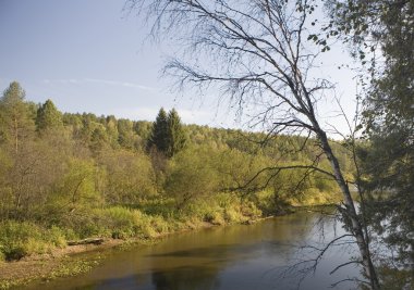 geyik creek Park