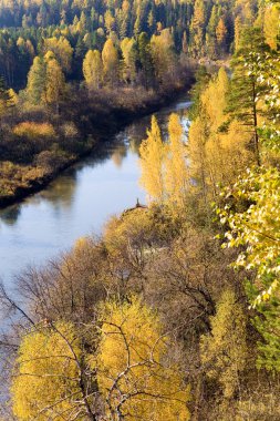 geyik creek Park