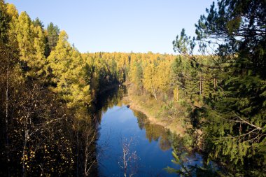 geyik creek Park