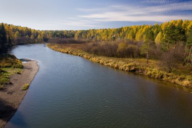 geyik creek Park