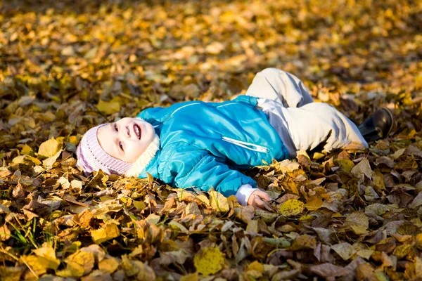 Mellow autumn 2 — Stockfoto