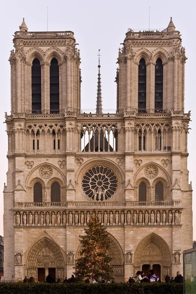 Notre Dame 3 —  Fotos de Stock