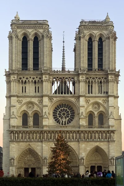Notre-Dame 4 — Zdjęcie stockowe