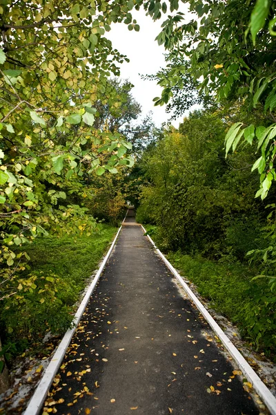 Caminho do parque 3 — Fotografia de Stock