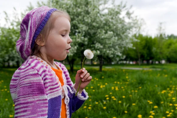 The girl and a dandelion — Stock Photo, Image
