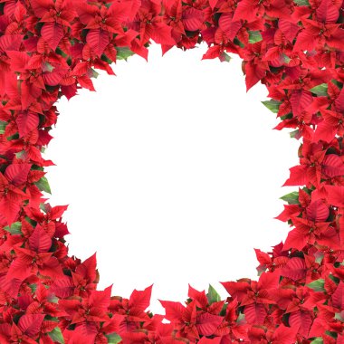 Christmas frame from poinsettias clipart