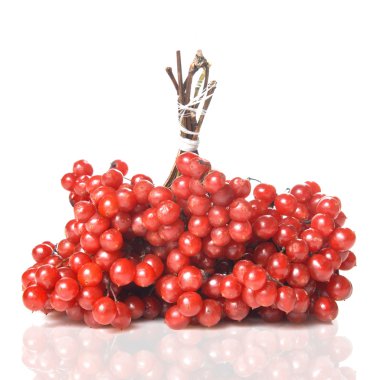 Berries of red Viburnum clipart