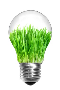 Light bulb with green grass clipart