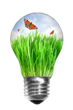 Light bulb with summer meadow clipart