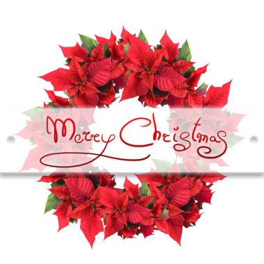 Christmas wreath from poinsettia clipart