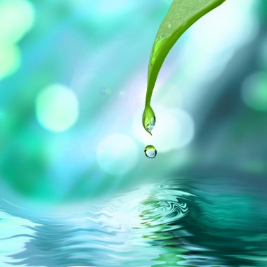 Green leaf with water drop clipart