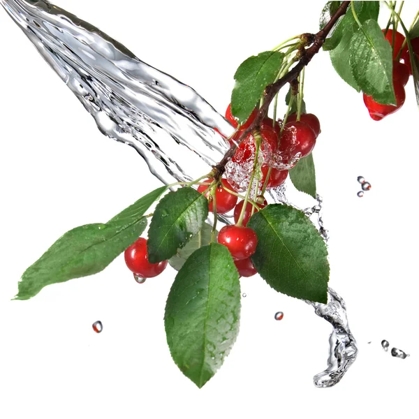 Rote Kirsche mit Blättern und Wasserspritzer — Stockfoto
