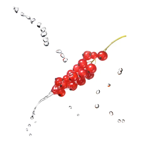 Grosella roja y gotas de agua — Foto de Stock