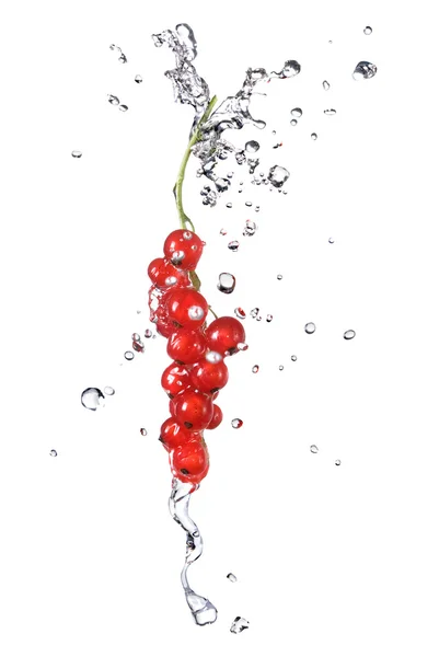 Grosella roja y gotas de agua —  Fotos de Stock