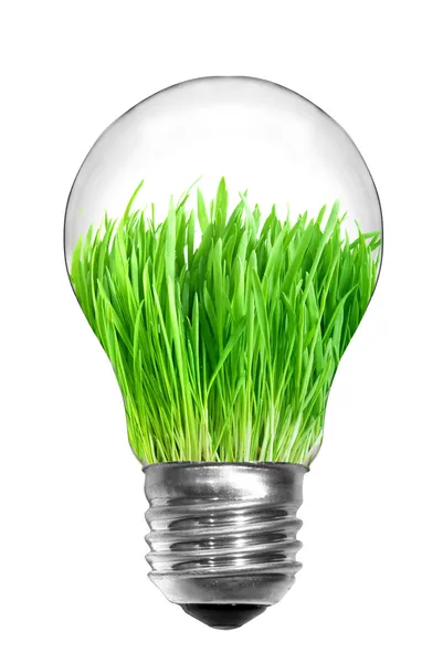 Light bulb with green grass — Stock Photo, Image