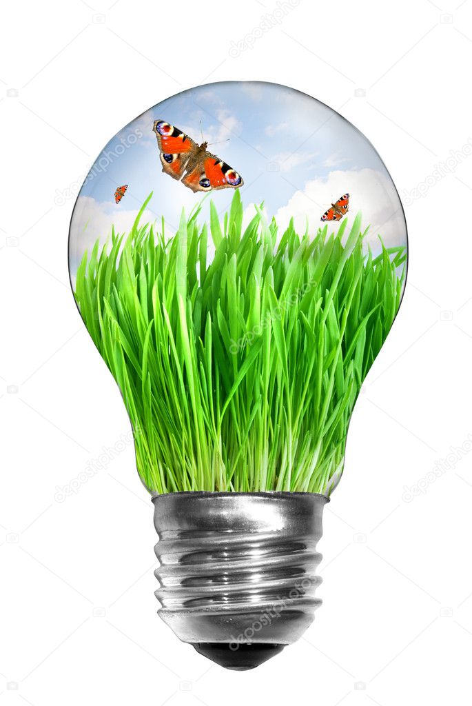 Light bulb with summer meadow