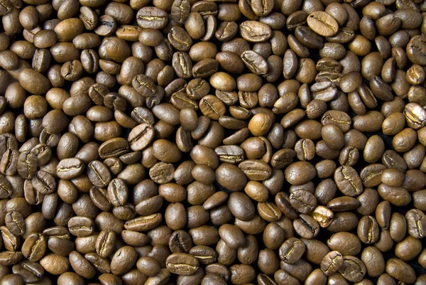 Фон из кофейных зерен — стоковое фото