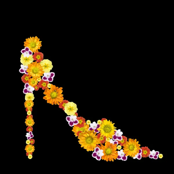 Sapato de mulher decorativa — Fotografia de Stock