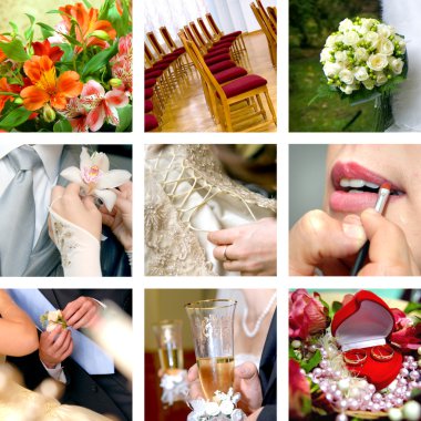 Color wedding photos clipart