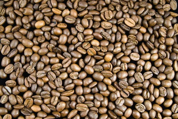 Background from coffee beans — Stock Photo, Image