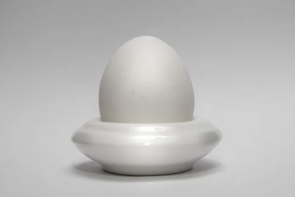 Яйце в яєчнику горизонтально — стокове фото
