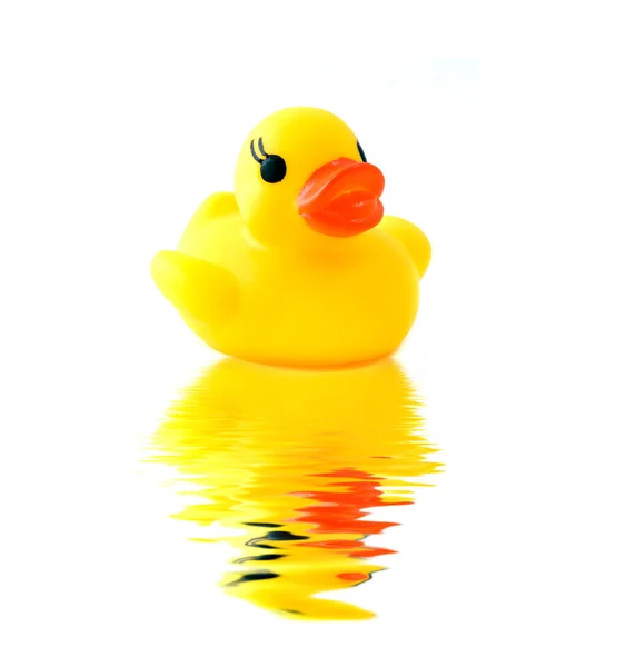 stock image Rubber yellow duck with reflection i