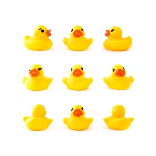 Rubber yellow ducks — Stock Photo, Image