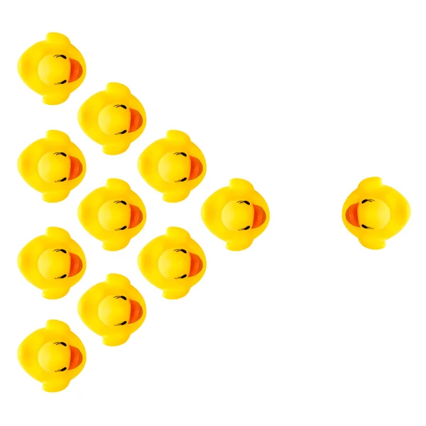 Patos amarelos de borracha — Fotografia de Stock
