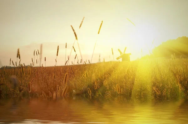 Fältet på solnedgången med vatten eftertanke — Stockfoto