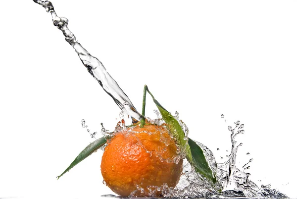 Tangerine aux feuilles vertes et à l'eau — Photo