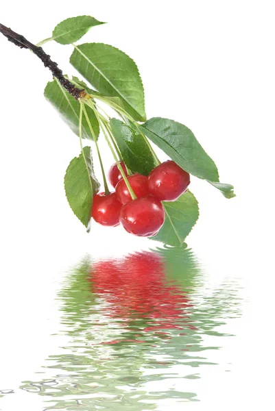 Cereja vermelha com folhas e água — Fotografia de Stock