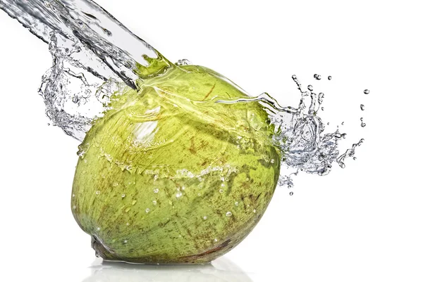 Coconut with water splash — Stock Photo, Image