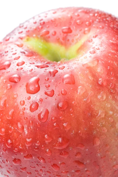 Красное яблоко с каплями воды — стоковое фото