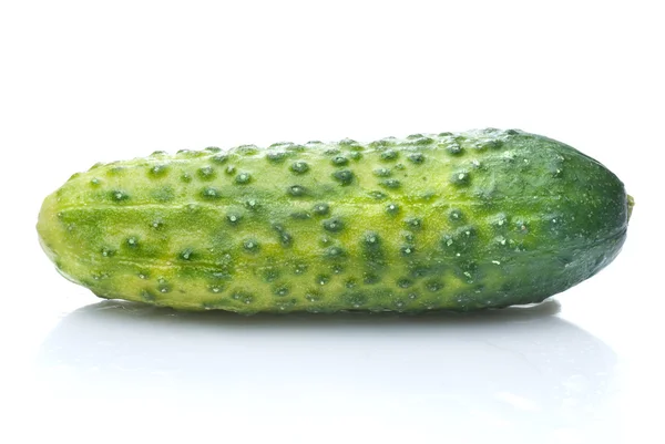 Groene komkommer met waterdruppels — Stockfoto